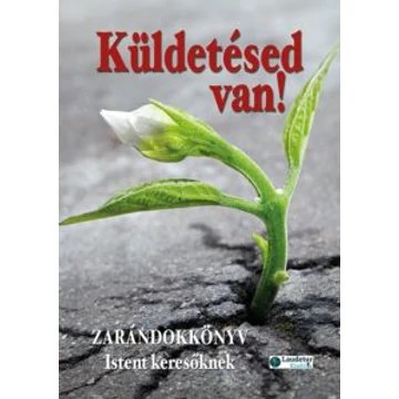 Küldetésed van! - Zarándokkönyv Istent keresőknek