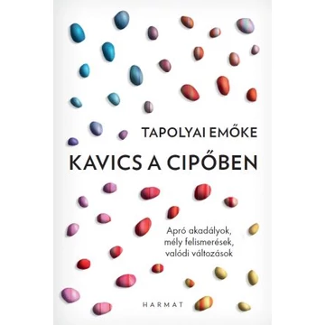 Kavics a cipőben - Tapolyai Emőke