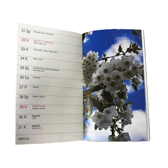 Katolikus  Zsebnaptár 2026 ( Korda  )