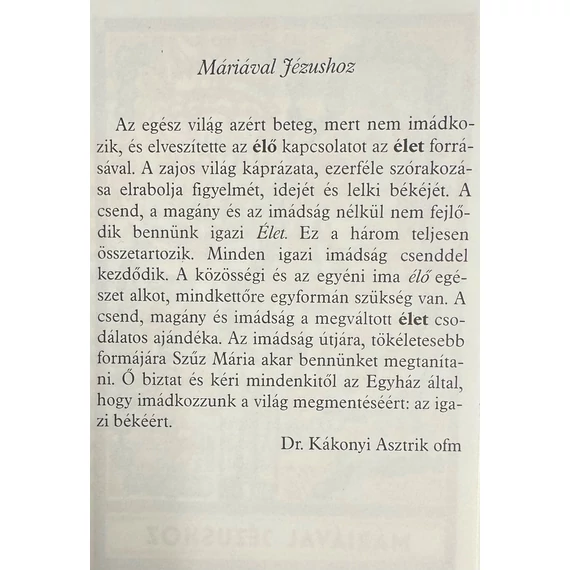 Elmélkedések a rózsafüzér titkairól  -  Máriával Jézushoz