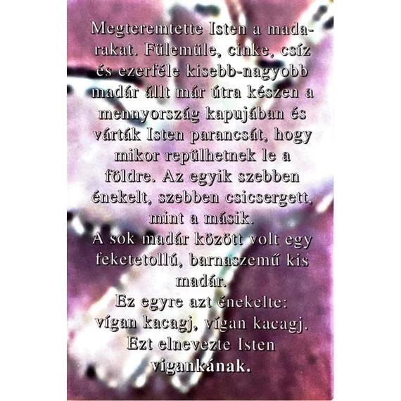 Viganka - Történet egy kismadárról